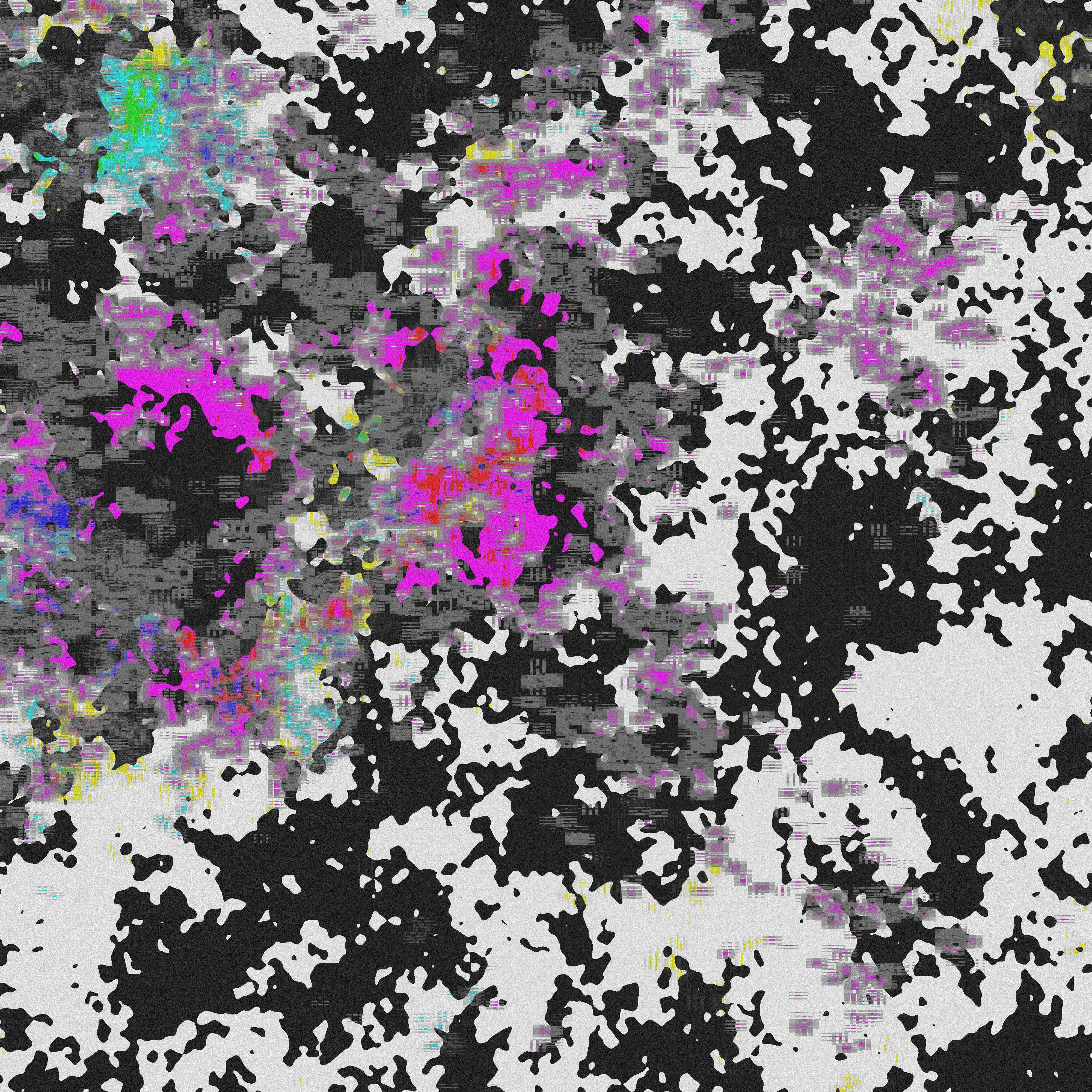 Image n5